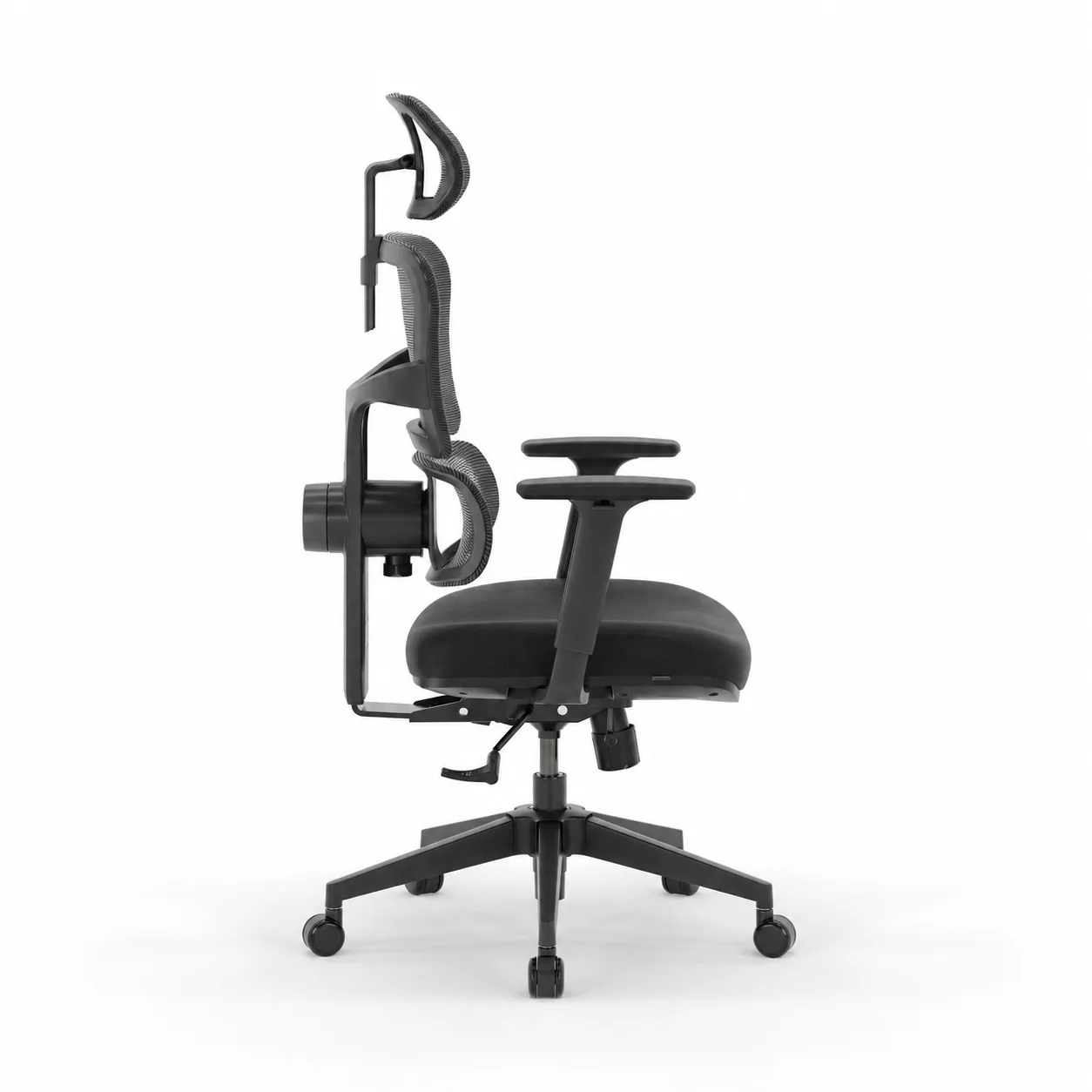 Pro