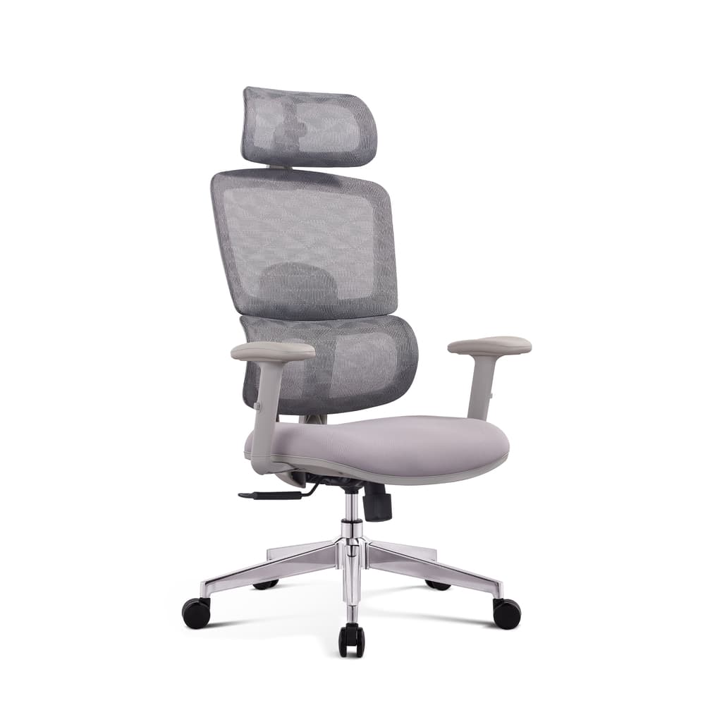 Silla Ergonómica Daily