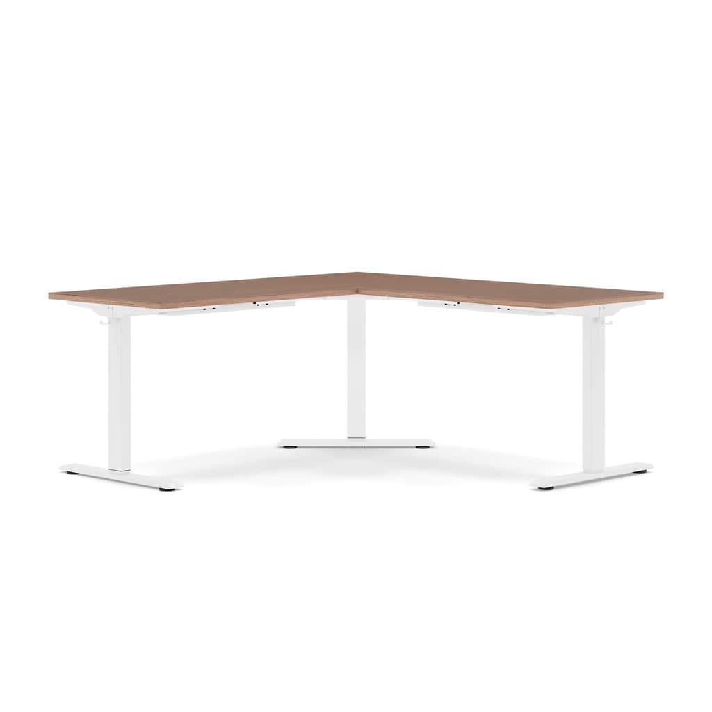 Standing Desk Pro Max