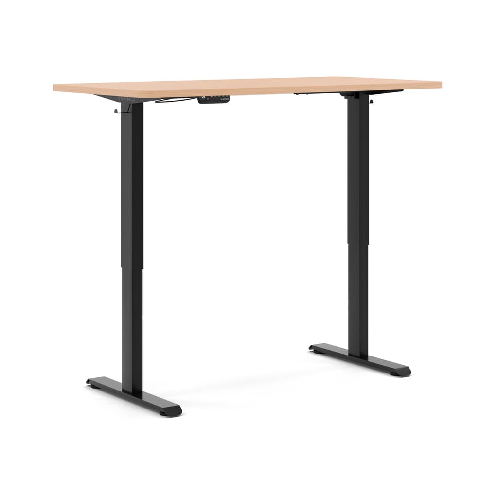 Standing Desk Pro V2