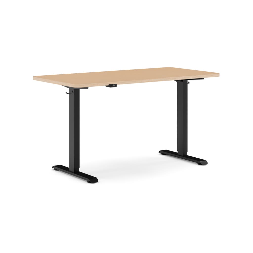 Standing Desk Standard V1