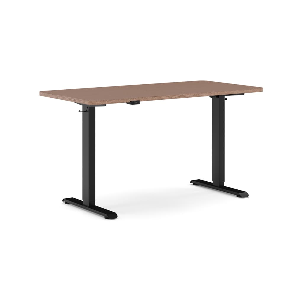 Standing Desk Standard V1