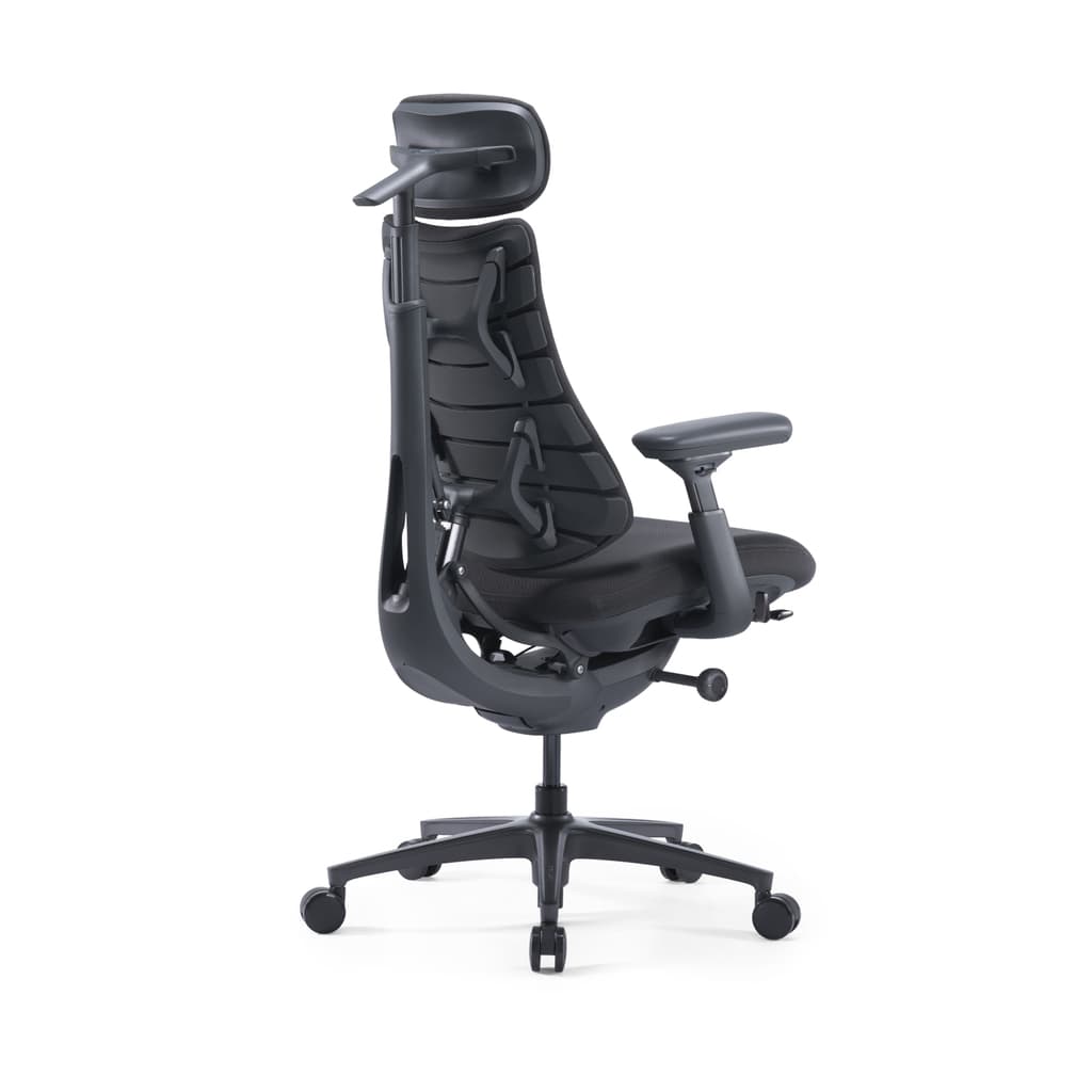 LiberNovo Omni