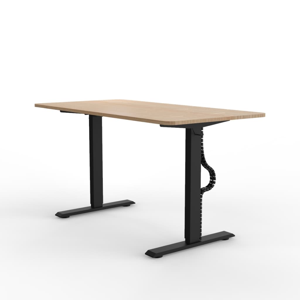 Organizador Pasacable Vertebra Magnetico