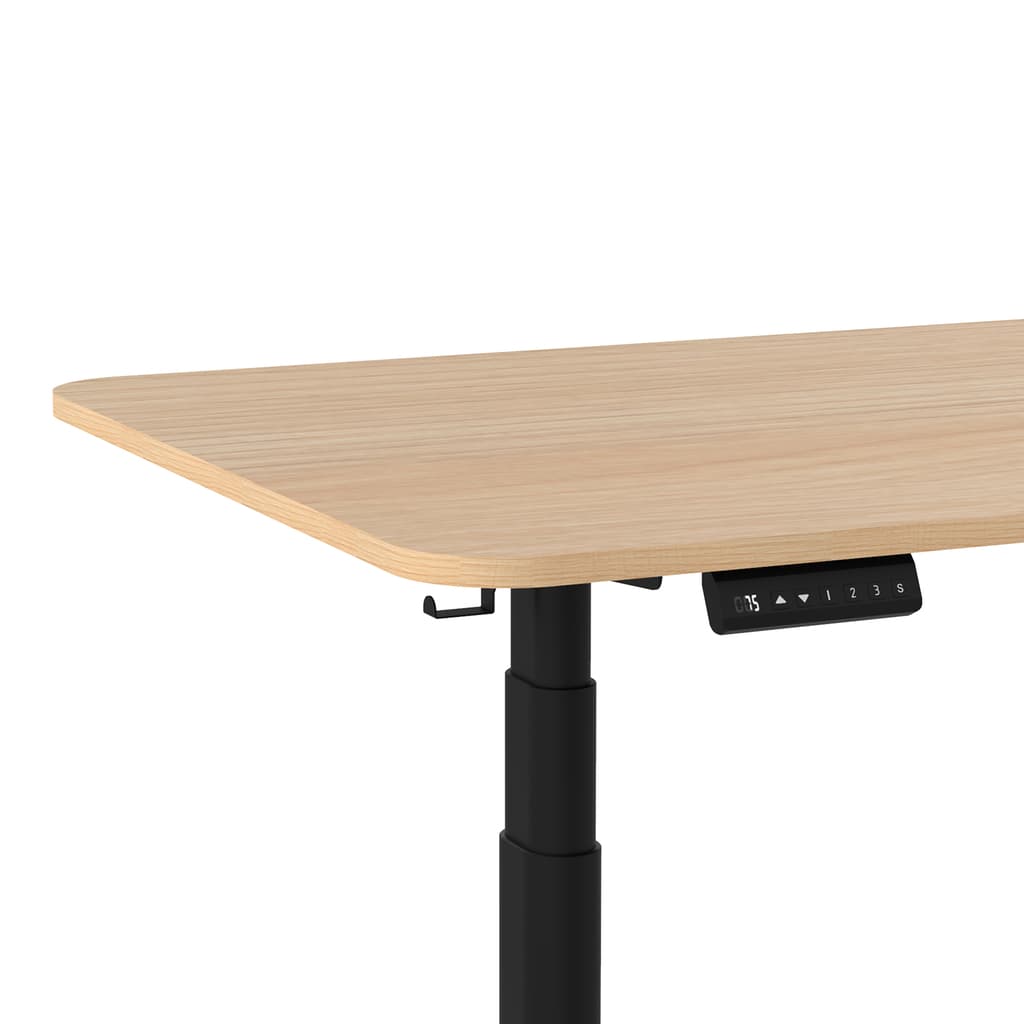 Standing Desk Oval Pro Duo