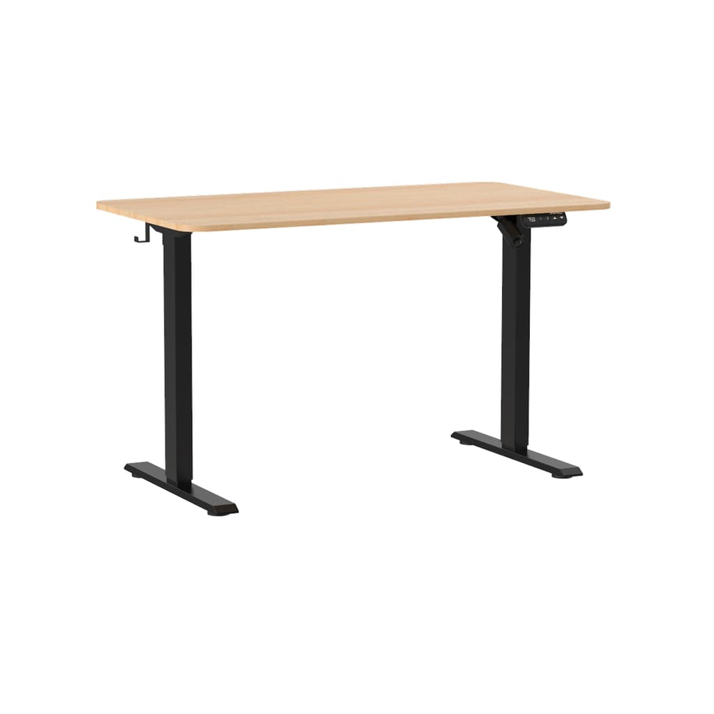 Standing Desk Standard V2
