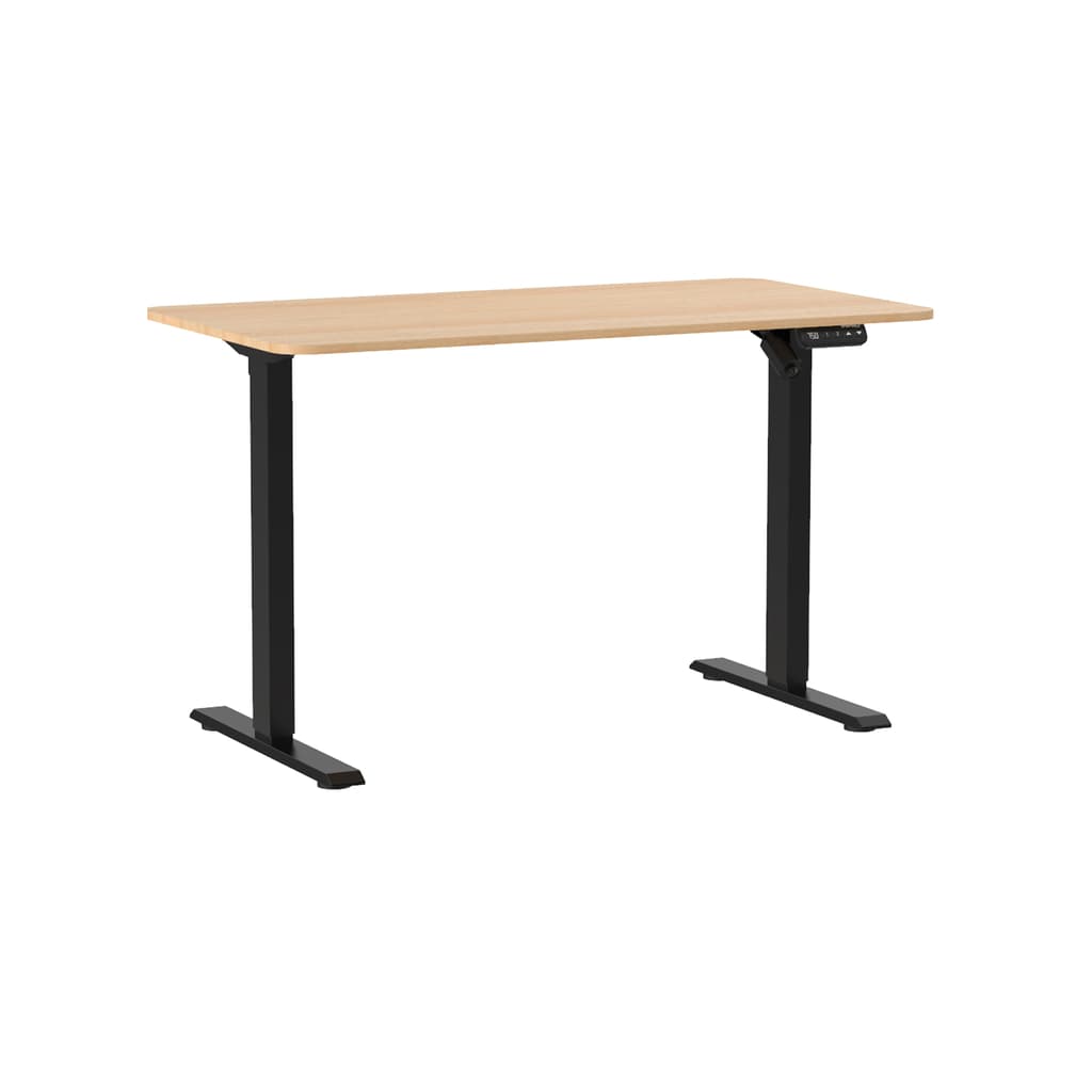Standing Desk Standard V2