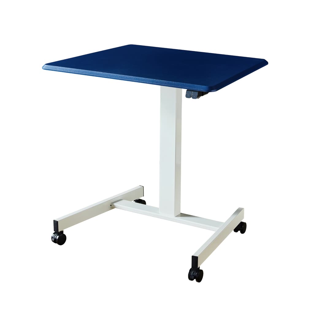 Standing Desk One Standard