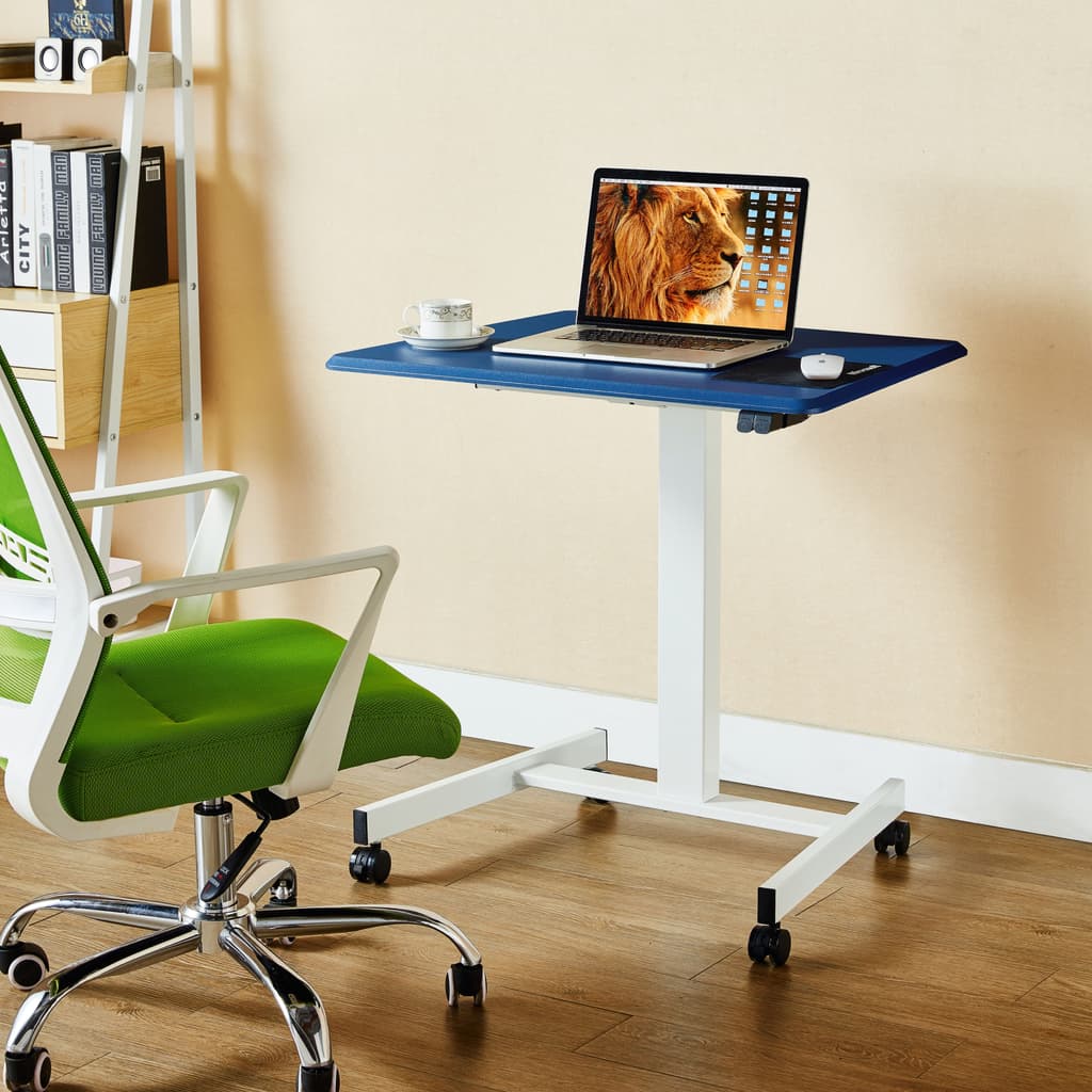 Standing Desk One Standard