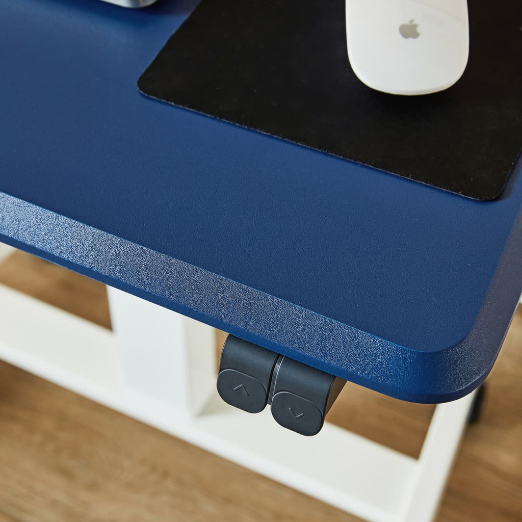 Standing Desk One Standard