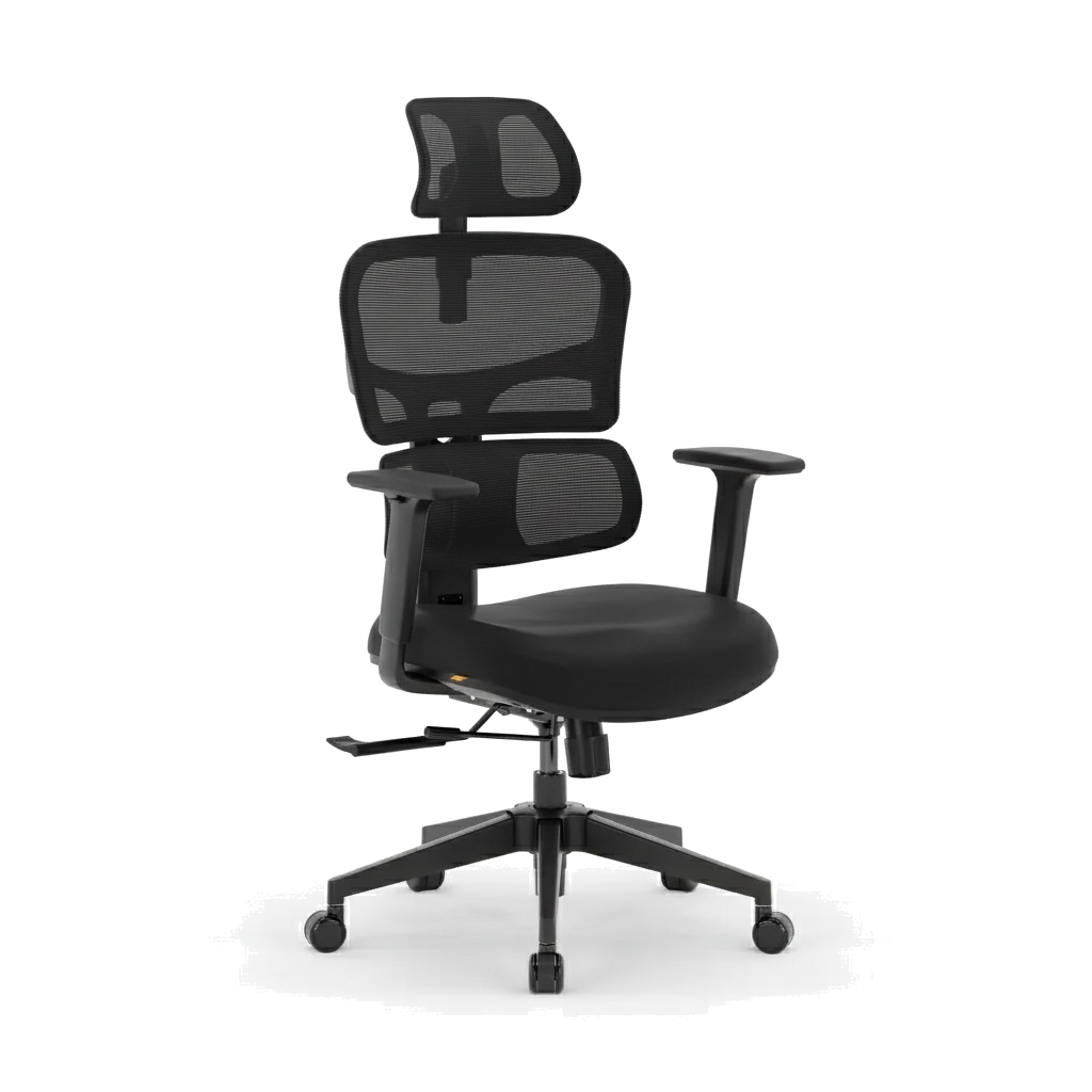 Silla Ergonómica Pro del Pro Pack
